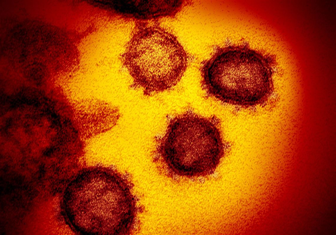 Ben Shapiro What The Coronavirus Should Teach Us Pittsburgh Post Gazette