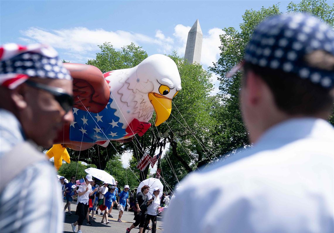 Team Trump Patriot Bald Eagle Hat – American Patriot Hats