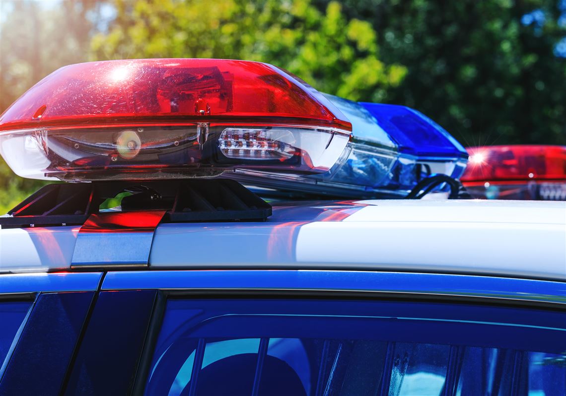 Glassport man faces criminal charges in dogs' shooting Pittsburgh