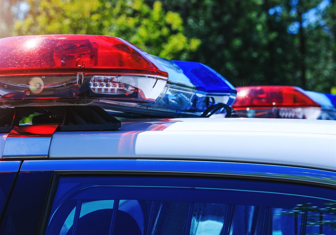 Glassport man turns himself in on charges he shot his dogs