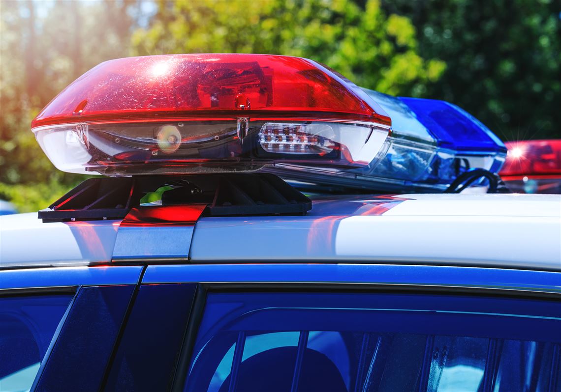 Pitt police: Men who chased woman were doing scavenger hunt