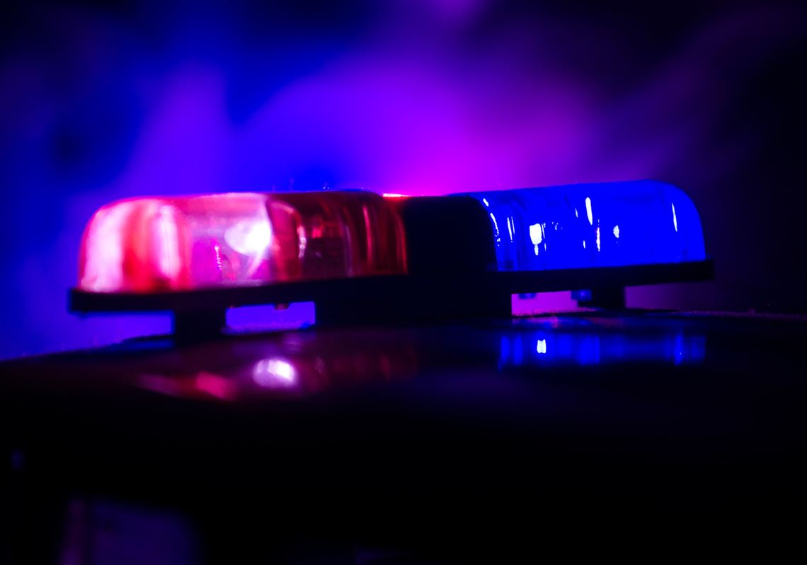 Murder of impaled Hempfield cow still unsolved despite reward