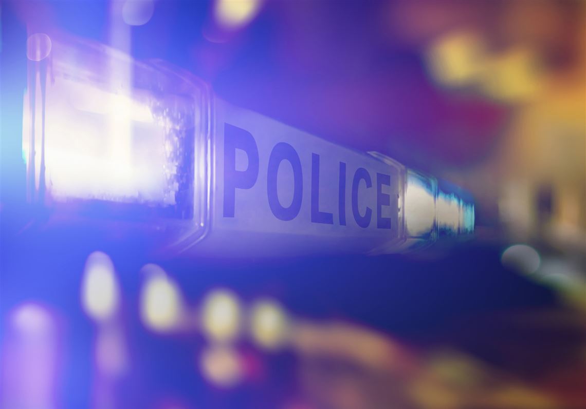 Woman leaves three kids in car, jumps from Homestead Grays Bridge