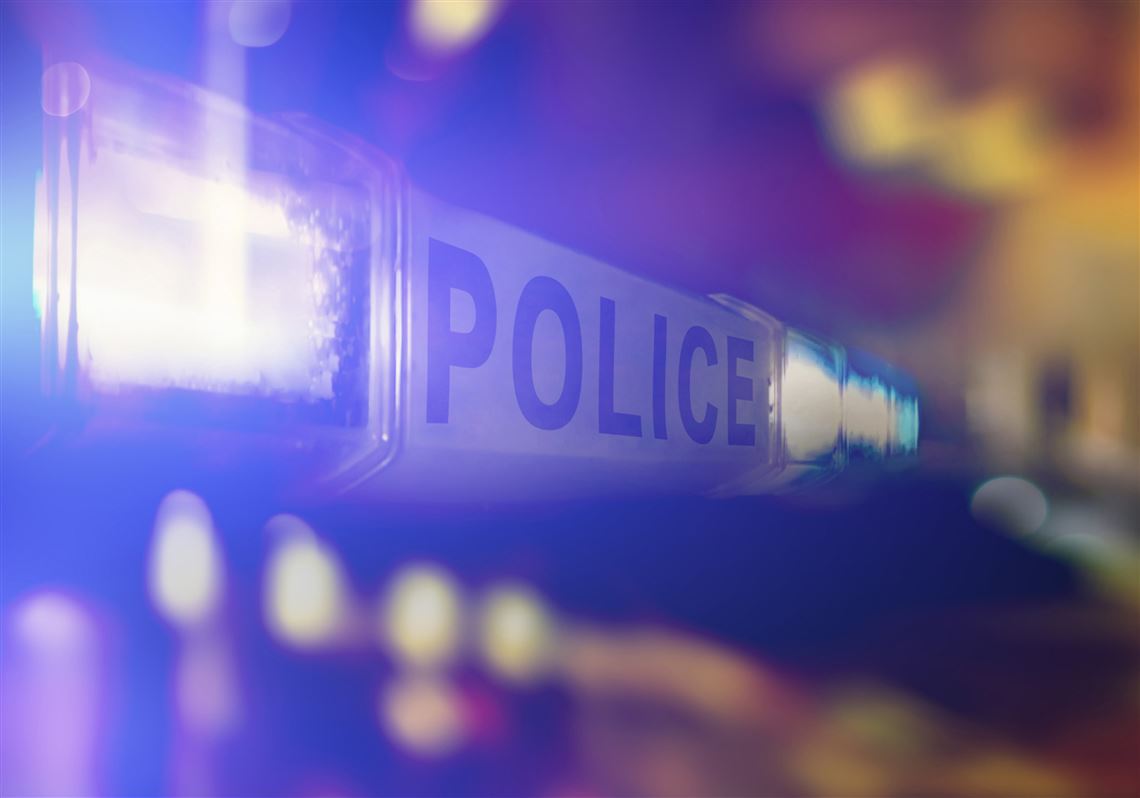 McKeesport man sues police, city over alleged K-9 attack