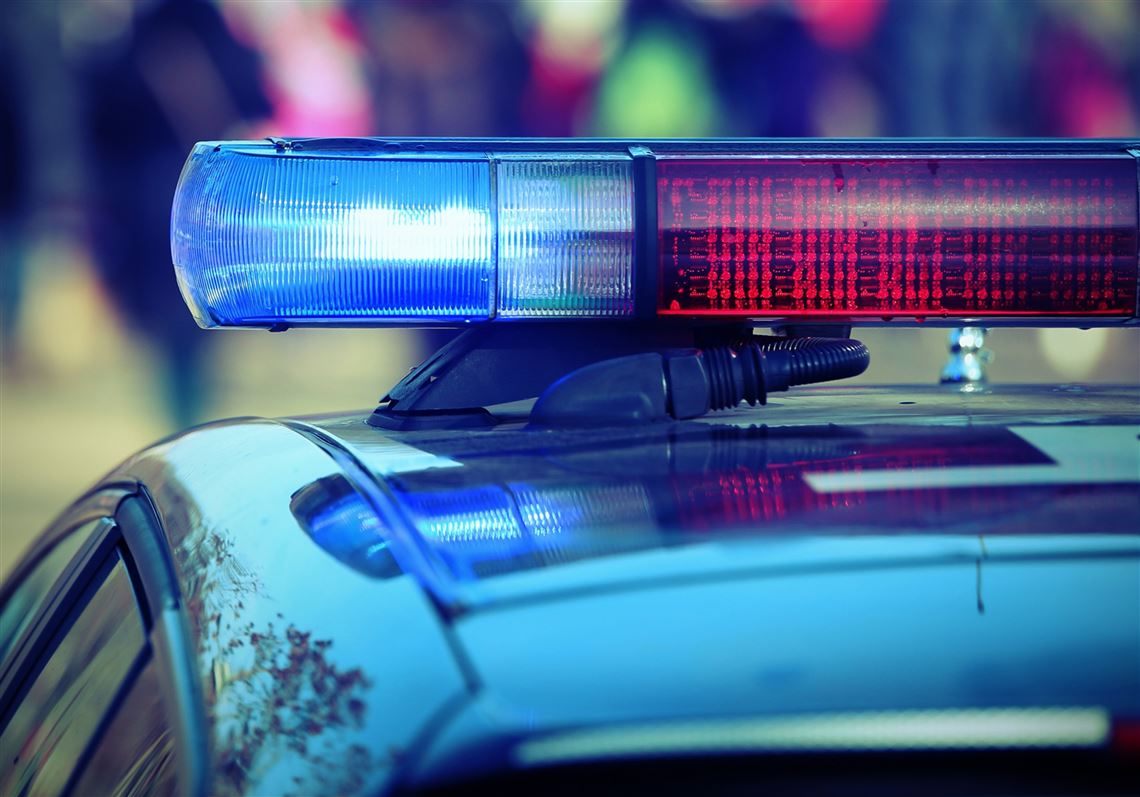 Mystery solved: Sightings of sickly animal in Whitehall a red fox infected with mange