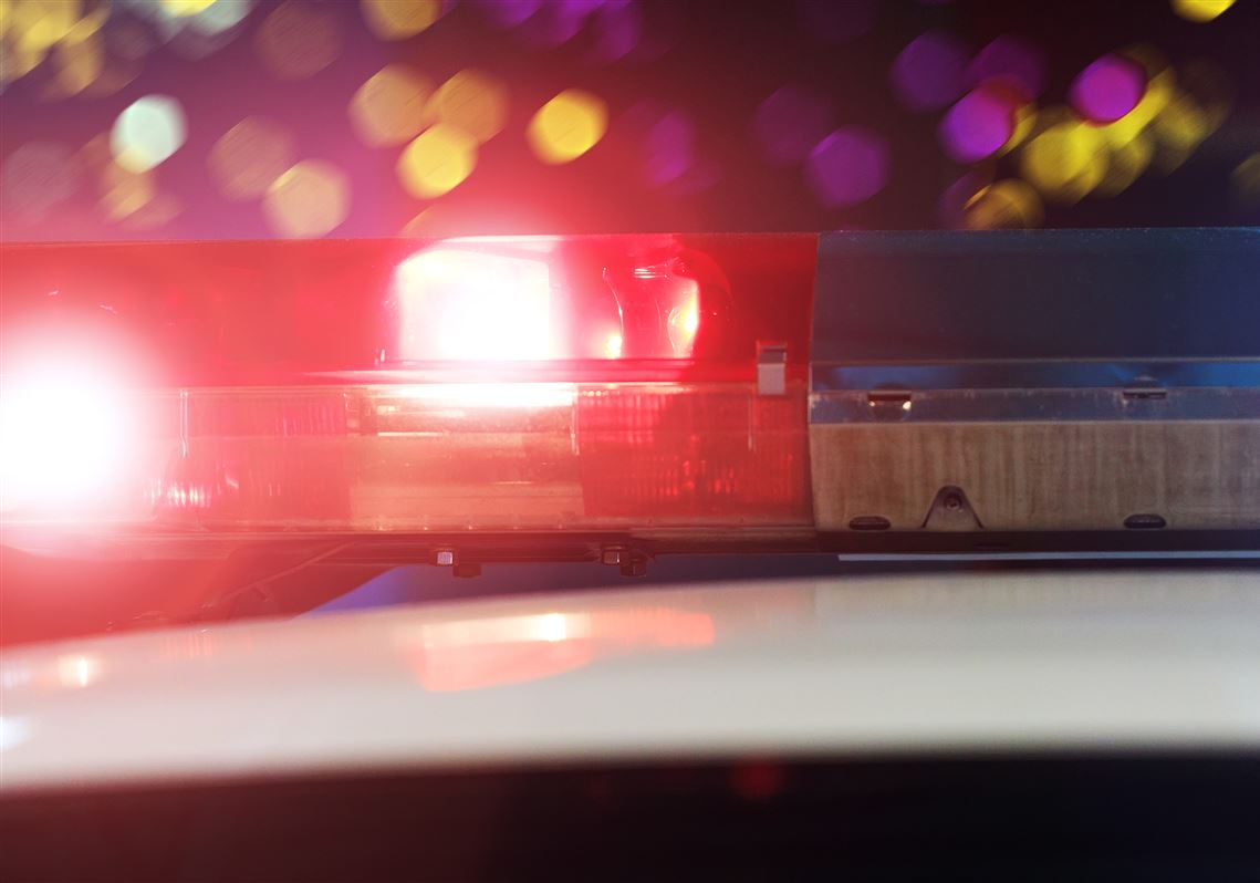 Man's body found under I-79 overpass in Collier