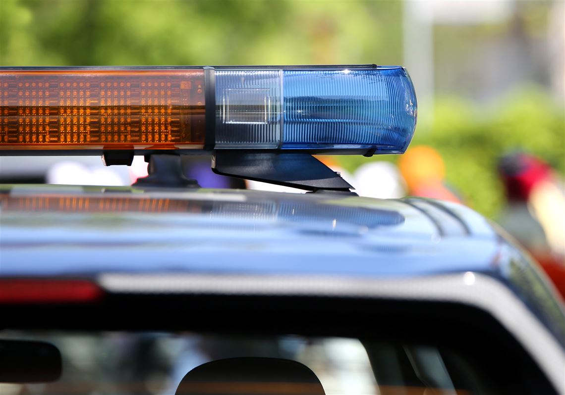 Turtle Creek police: Woman forced minor to get birth control implant