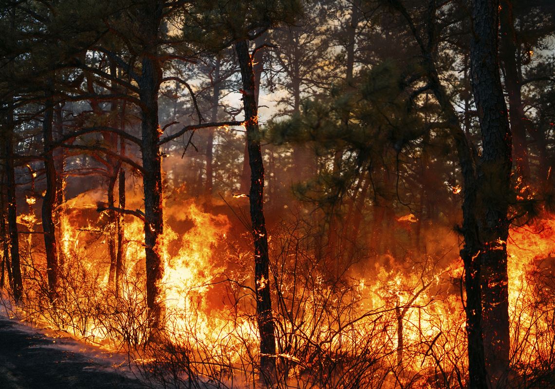 Wildfires prompt evacuation in the Carolinas as New Jersey crews battle their own blaze