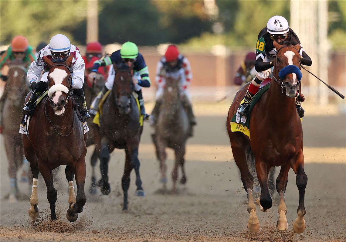 Single race. Кентуккское дерби. Скачки Kentucky Derby 2009. Дерби лошади. Дерби спорт.