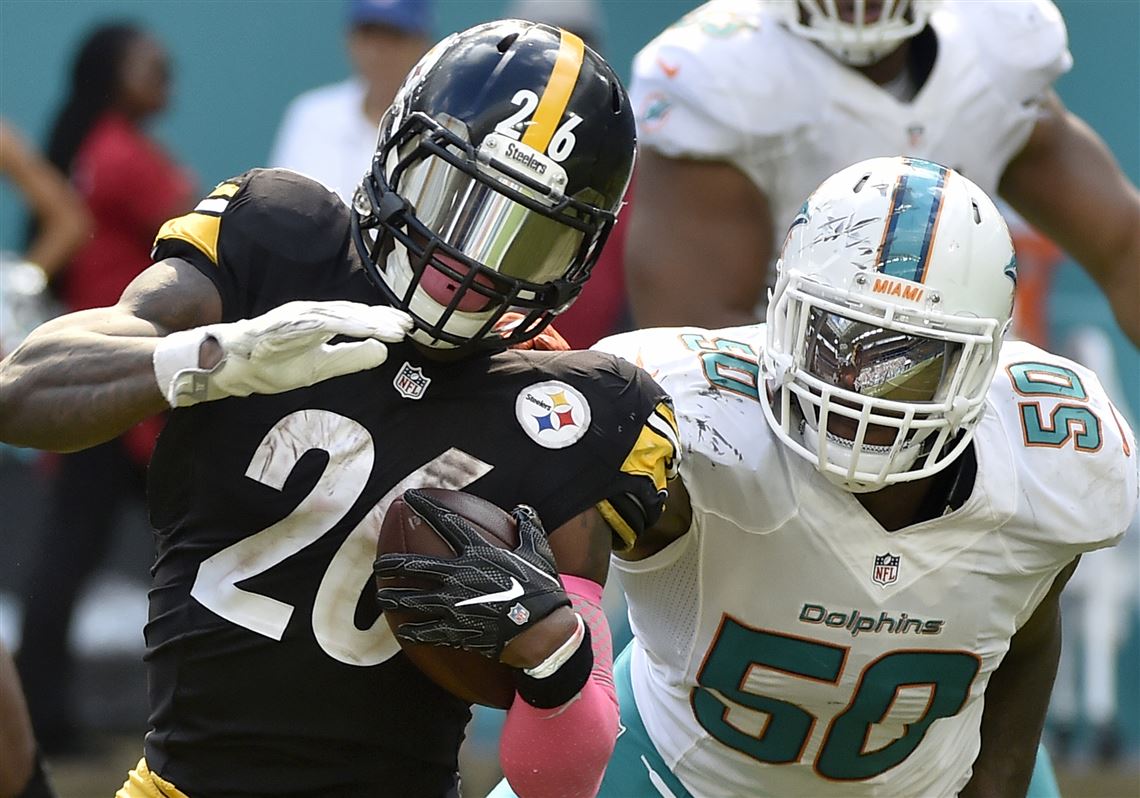 2017 NFL Playoffs: Key info for Steelers vs. Dolphins in the Wild