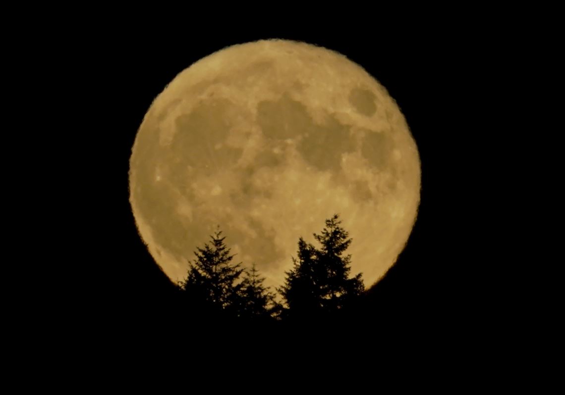Full Strawberry Moon Can Be Viewed Through Saturday Morning Pittsburgh Post Gazette