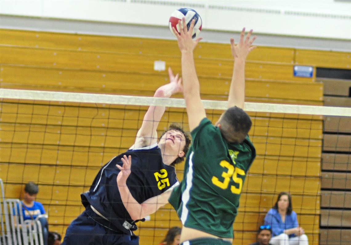 Norwin hoping tournament success in volleyball nets section victories ...