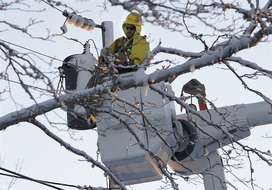 OKC Survivor Tree doing well after damaged in wintry weather