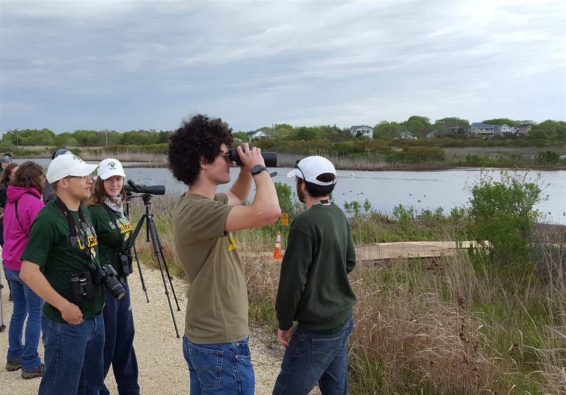 Local College Students Take Competitive Birding To New Heights Pittsburgh Post Gazette