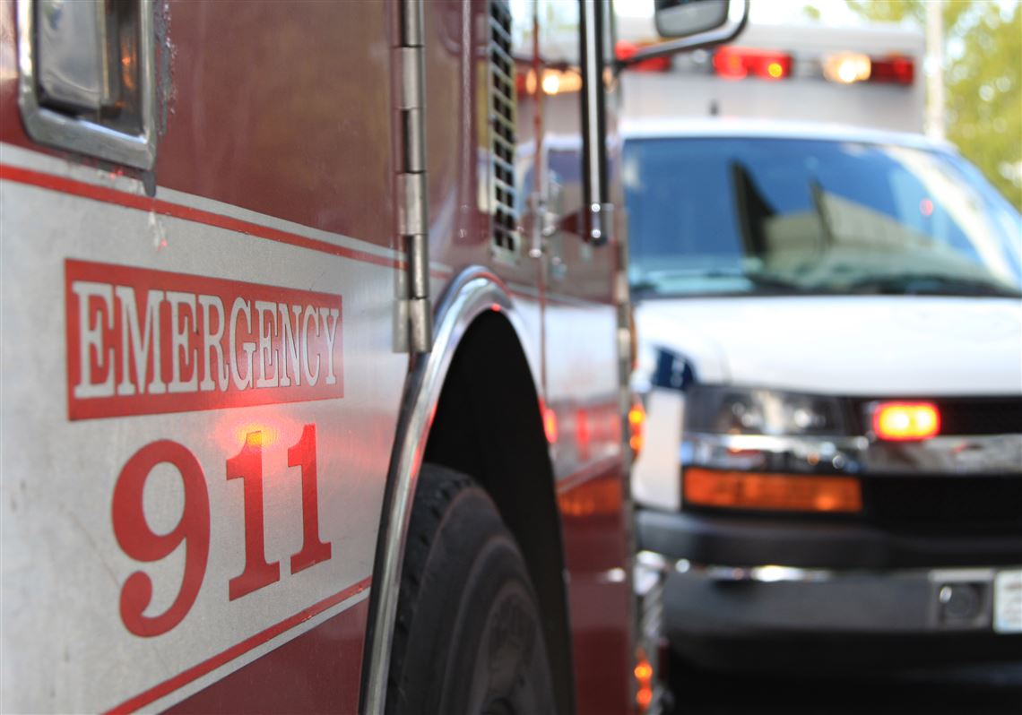 Pedestrian killed in crash on McKeesport-Duquesne Bridge