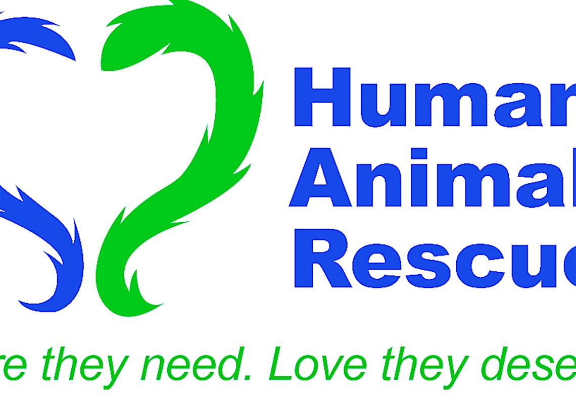 Humane Animal Rescue new name of merged shelters | Pittsburgh Post-Gazette