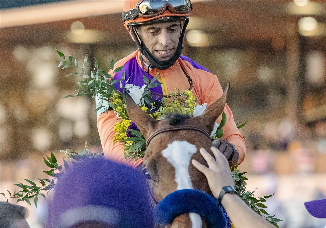 free pet supplies near me