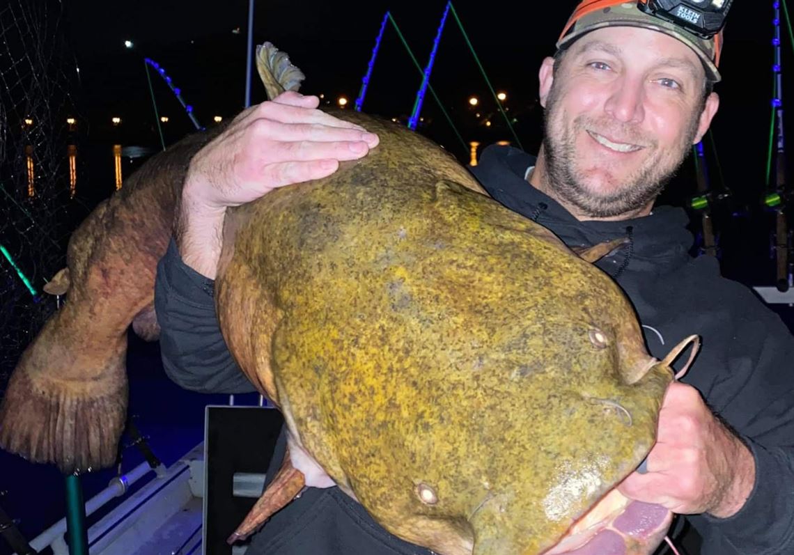 Beaver County angler catches 65 pound beast of a catfish