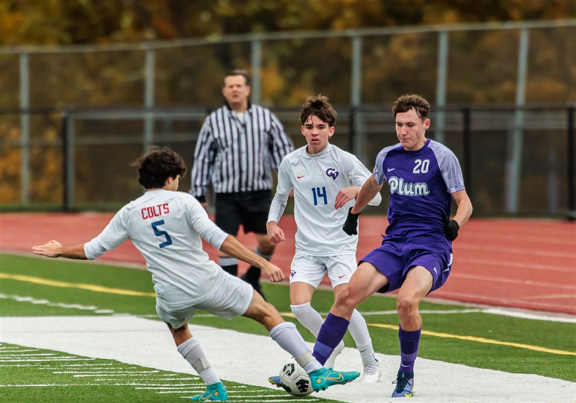 WPIAL boys soccer playoffs roundup: No. 11 seed Franklin Regional upsets  Mars in Class 3A | Pittsburgh Post-Gazette