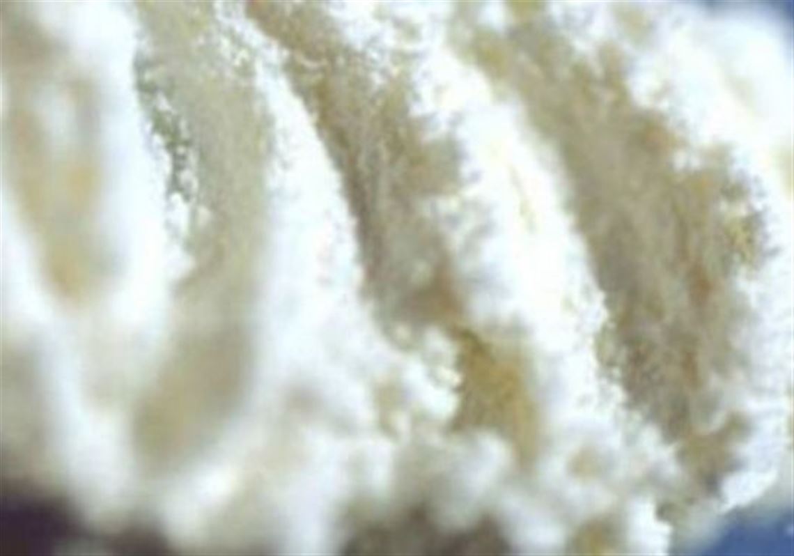 Jury convicts Beaver Falls man who represented himself in federal drug trial