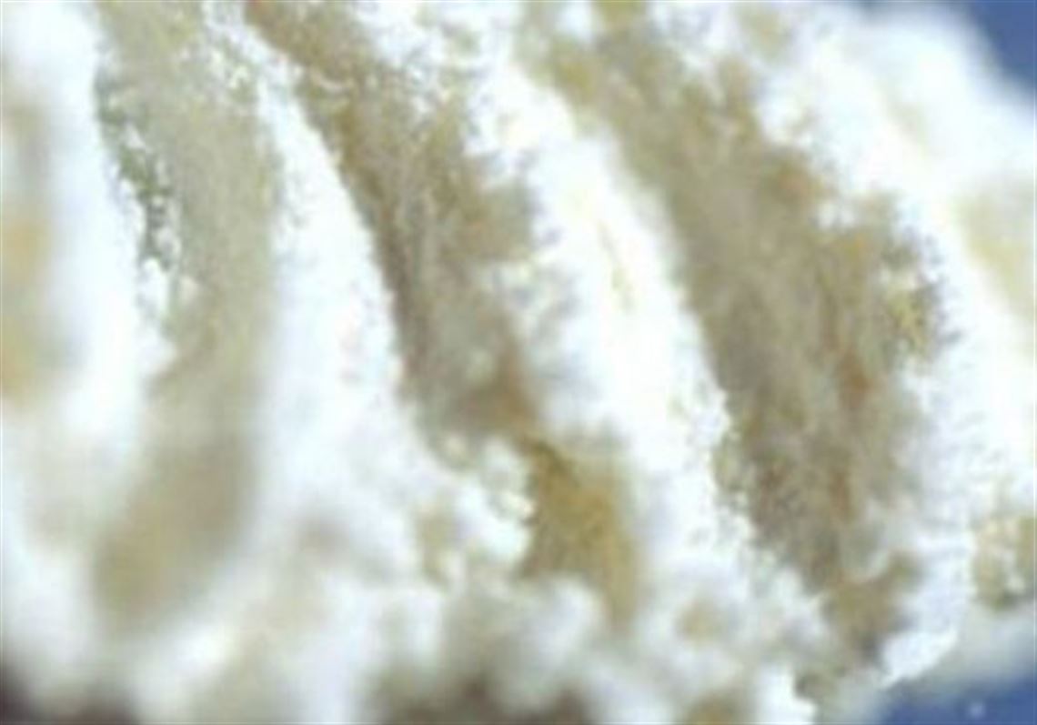 Seventeen named in federal cocaine indictments focused on New Castle, Pittsburgh