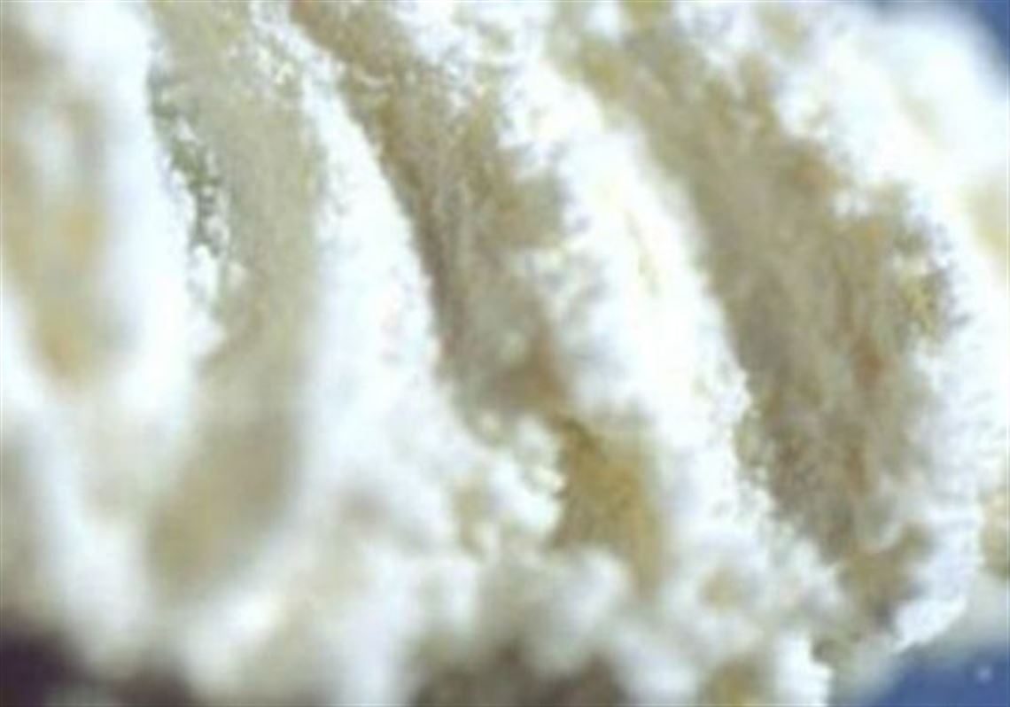 Plum coke dealer gets 12 years behind bars