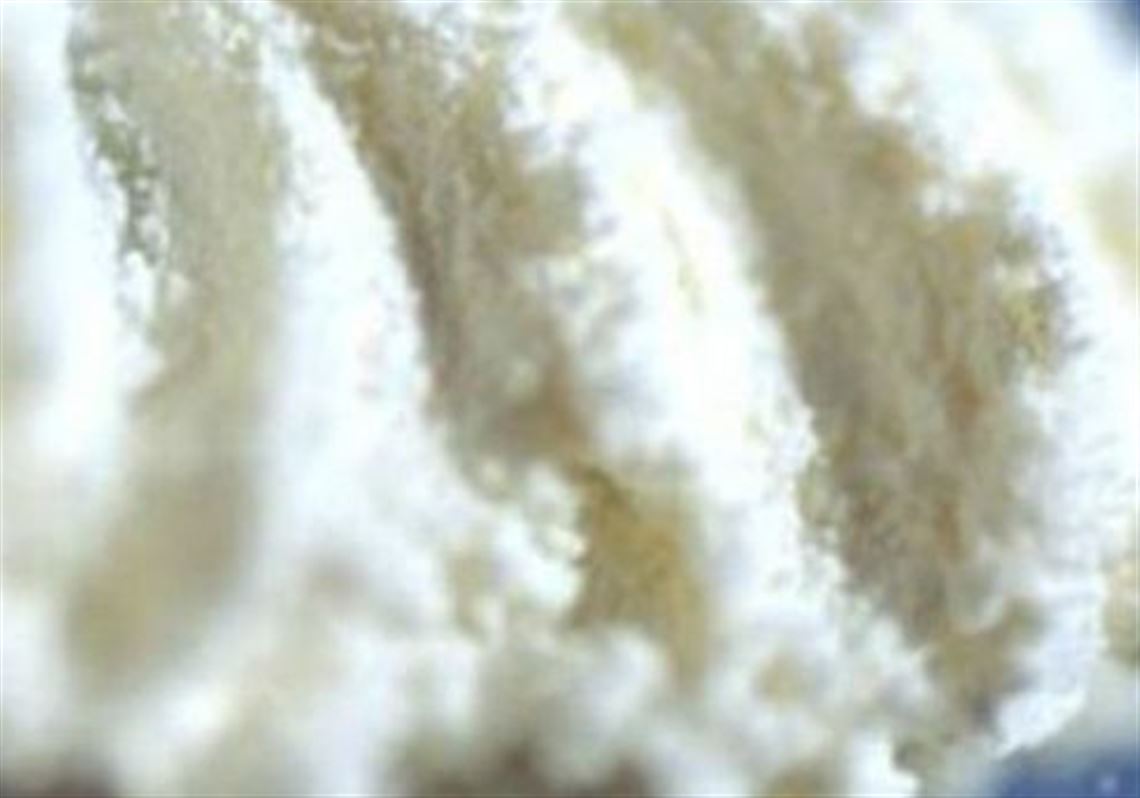 Pa. State Police make big cocaine bust; five face federal drug charges