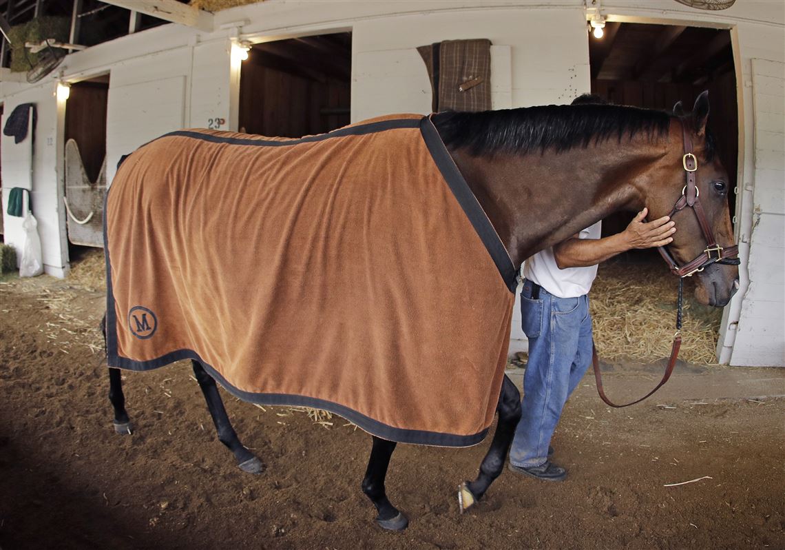 Kentucky Derby Dream Sadly Denied As Omaha Beach Scratched