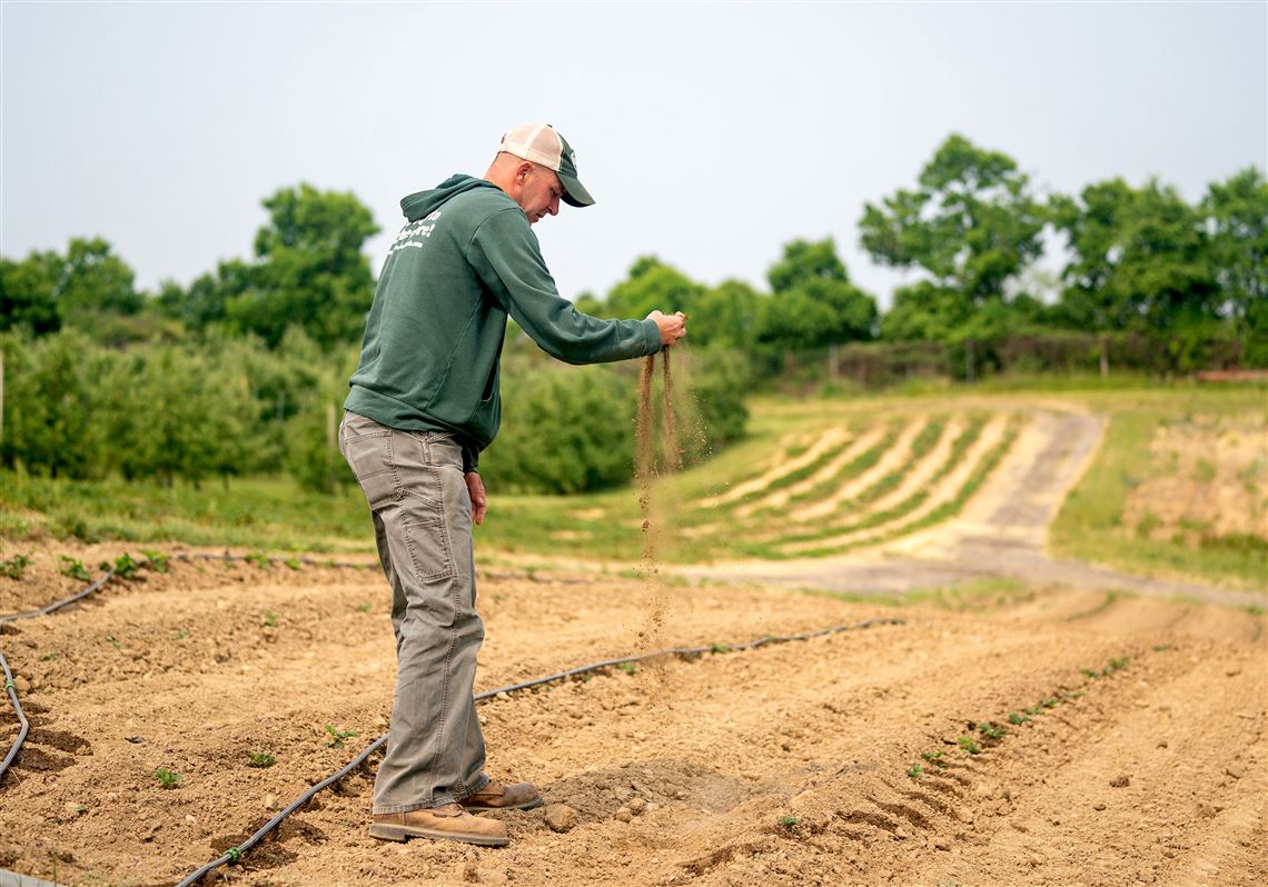 Stopping Theft on the Farm - WSJ