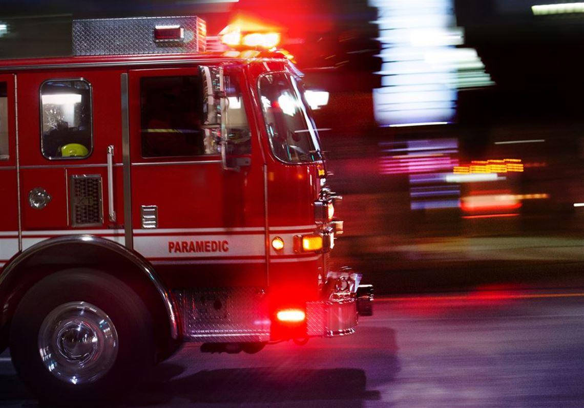 Elderly woman dies in Homestead house fire