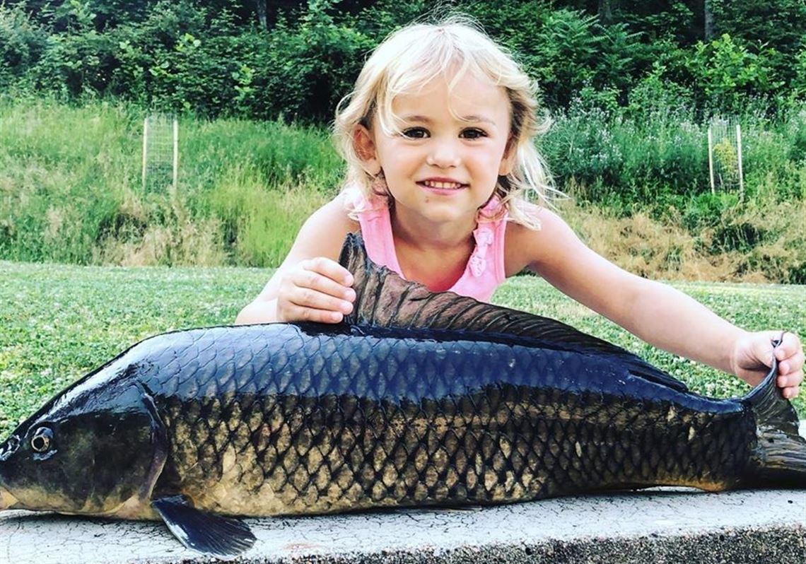 A 4-year-old angler wrestles in carp almost her size