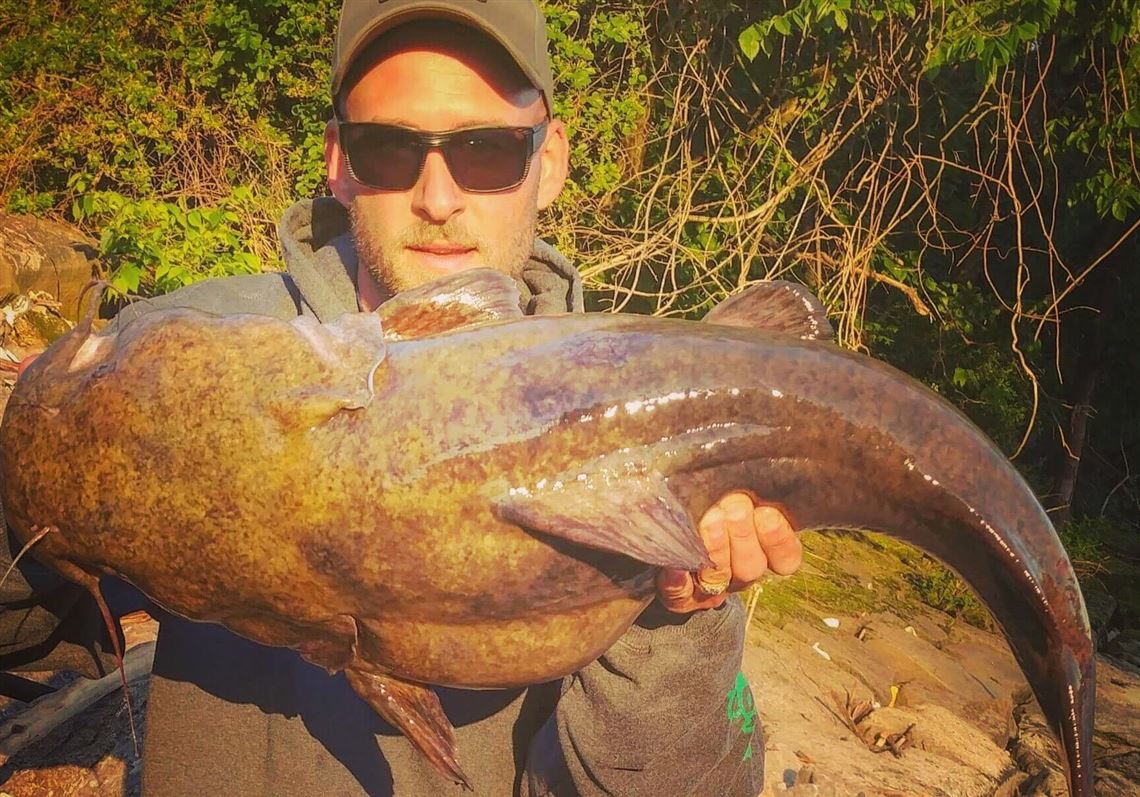 Fishing Report Angler Lands 2 Monster Catfish On Ohio River