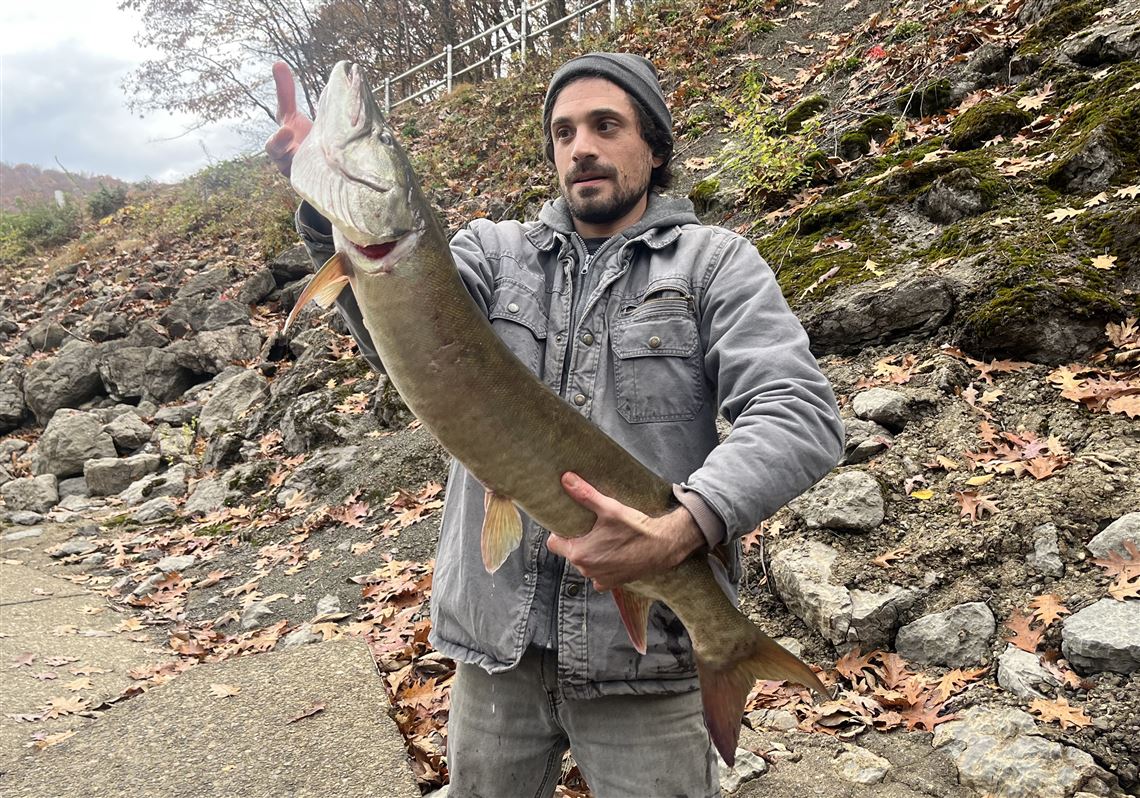 Fishing Report: Pittsburgh angler catches a 40-inch muskie; recently  stocked trout taken