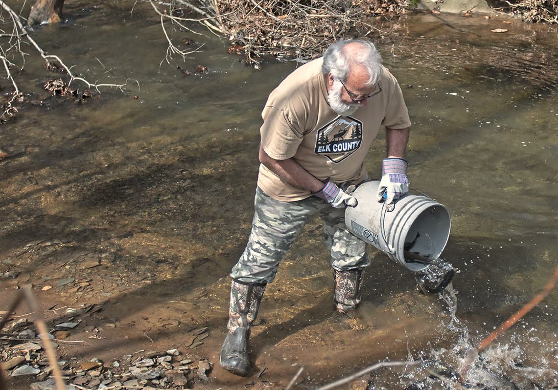 Fishing Report State trout stockings begin Tuesday, including Bull Run Pittsburgh PostGazette