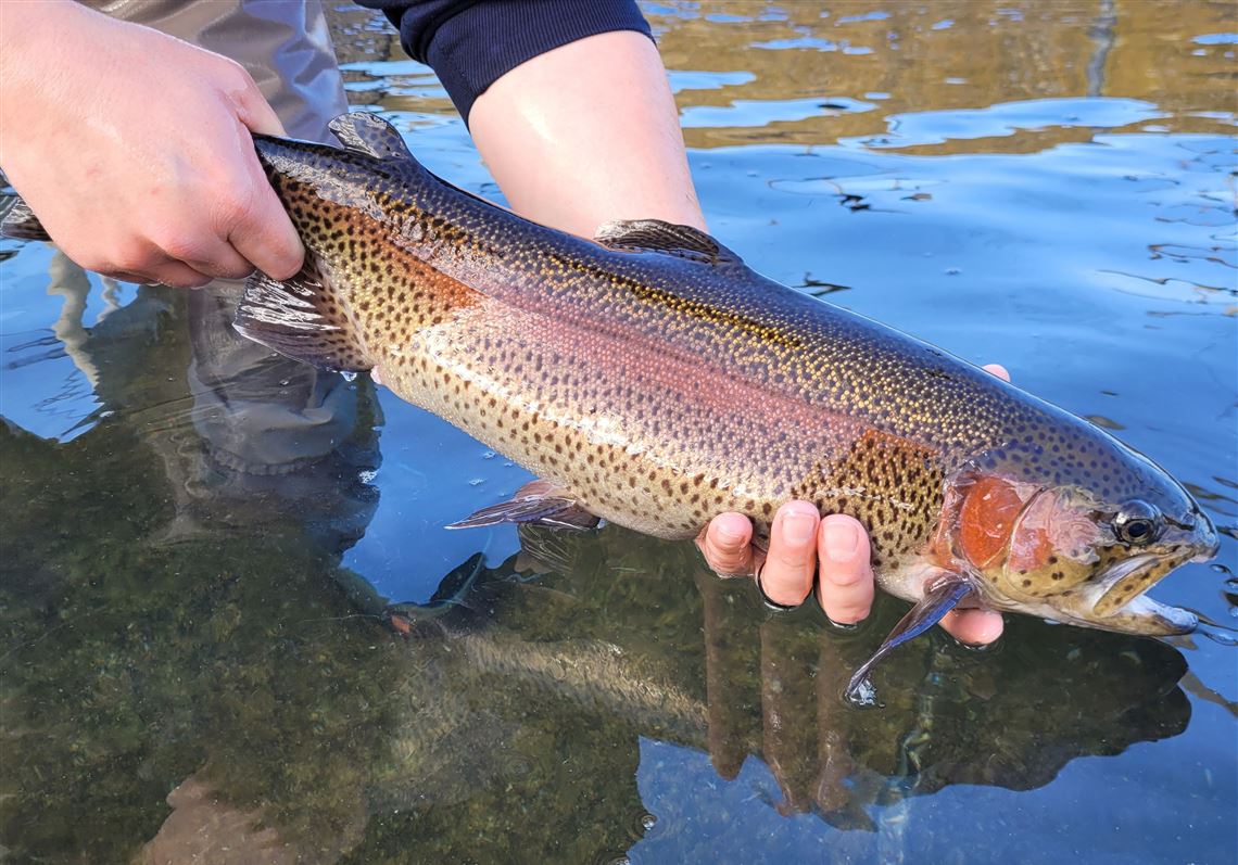 Fishing Report: Low water hampers fishing; trout stocking begins