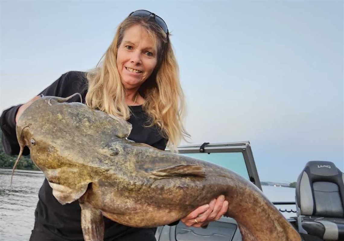 Fishing Report: Big flathead catfish attack cut bait on the Ohio