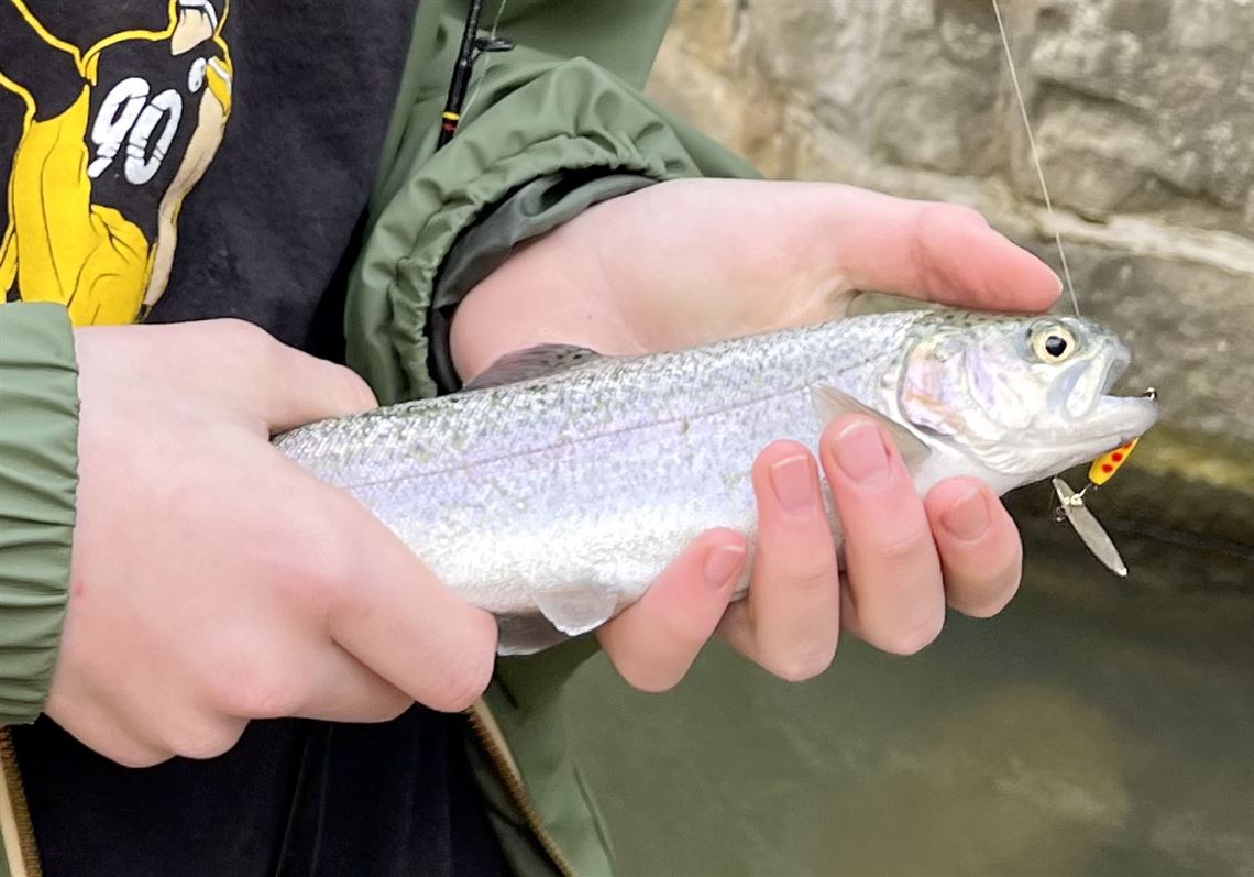 Fishing Report: Preseason trout caught and released on special regulation  waters