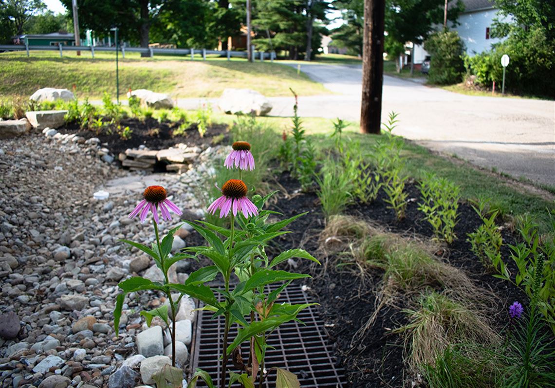 2 new rain gardens in Findlay set a green example in stormwater management  | Pittsburgh Post-Gazette