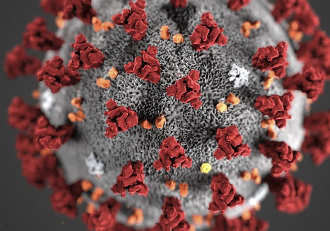 Allegheny County now has 18 total COVID19 cases Pittsburgh PostGazette