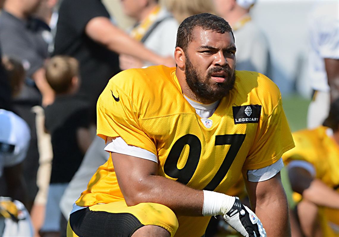 Steelers DE Cam Heyward steps up in production and leadership role