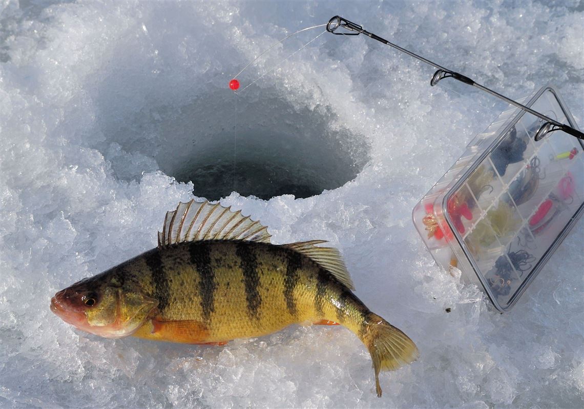 Western Pennsylvania fishing: Fishable ice covered a few lakes at higher  elevations