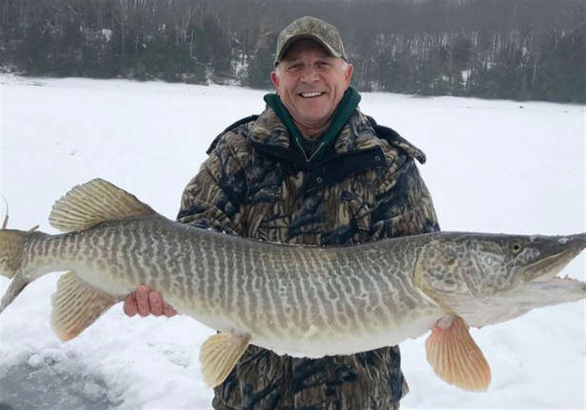 Tiger Muskie Fishing in Michigan, Musky Trolling, Ice Fishing, Fish  Finders, Trolling Motor