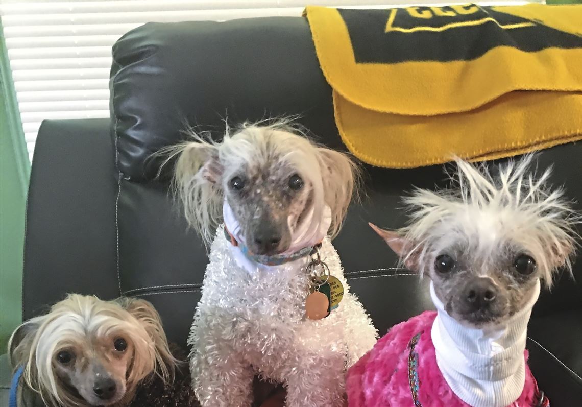 Thank goodness Pittsburgh PostGazette