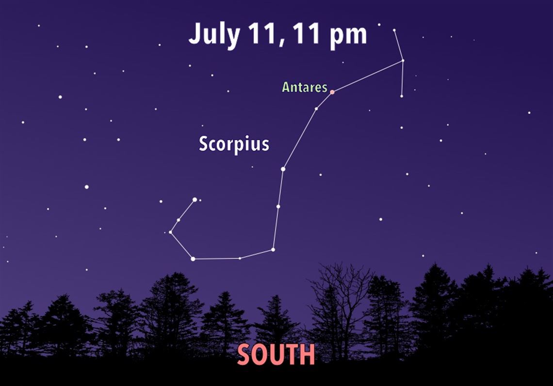 Stargazing Scorpius the Scorpion strikes in July skies Pittsburgh