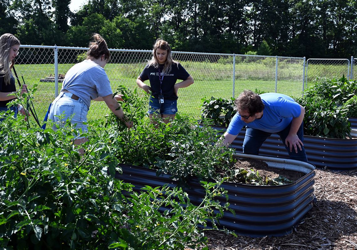 Produce grown on this campus goes to hungry students