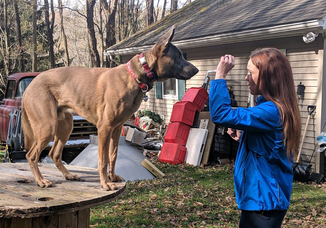 With her service dog, a Navy vet with PTSD will run the Pittsburgh Marathon
