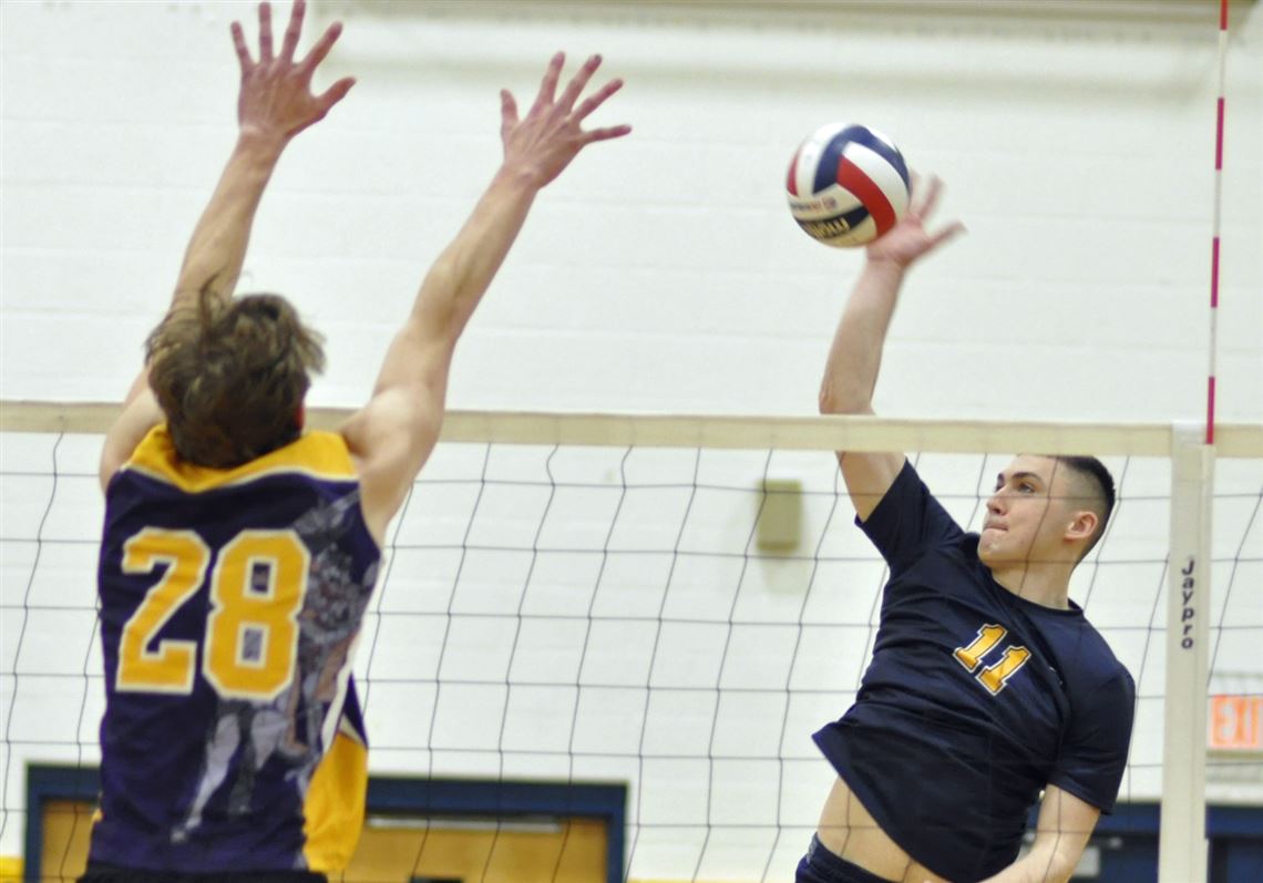 Norwin alum Mike Palashak has Knights' volleyball team off and running ...