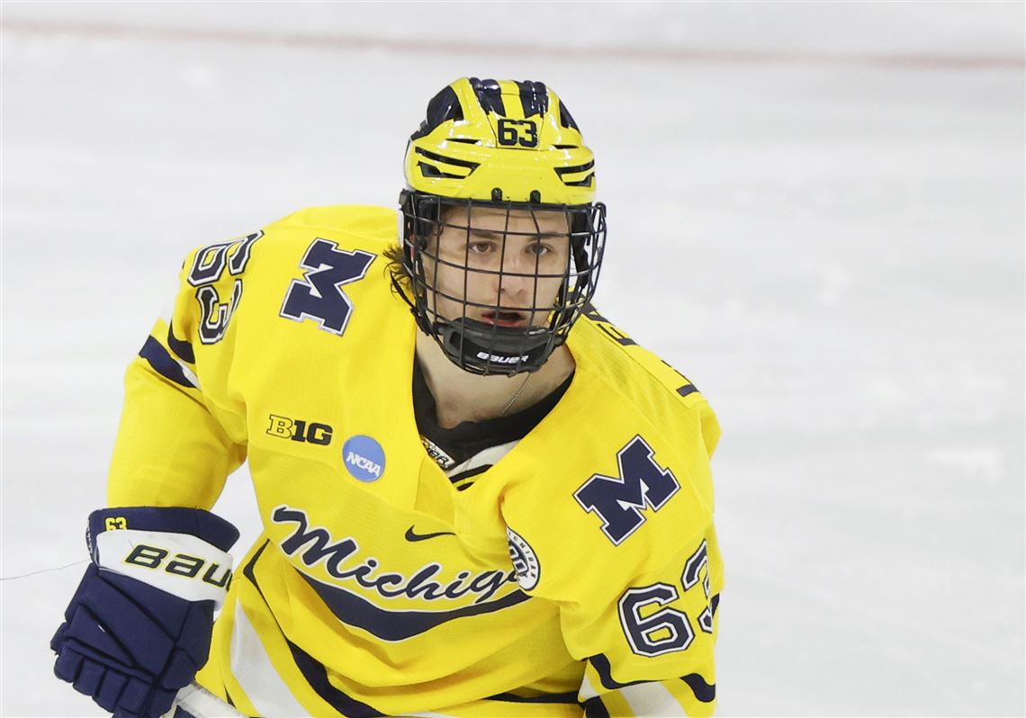 Brotherly love: Sibling rivalries fueled Penguins prospects Luca Fantilli,  Jagger Joshua