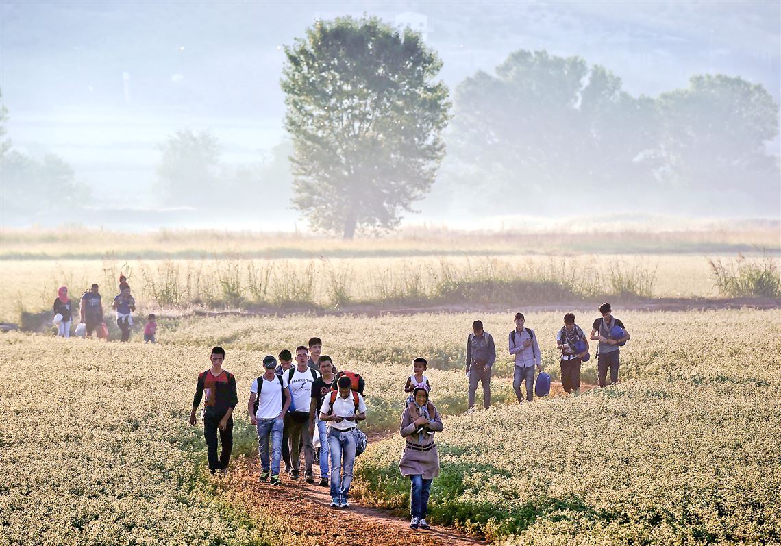 Migrants walk through a field Saturday to cross the border from Greece to Macedonia near the Greek village of Idomeni.