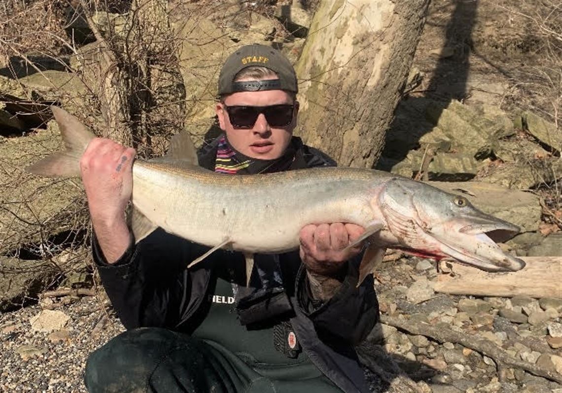 Fishing Report Angler Dives Into Beaver River To Land A Muskie